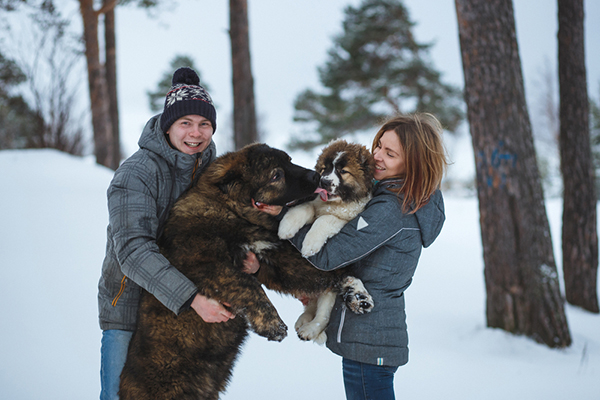 how-to-have-a-successful-puppy-play-date-image