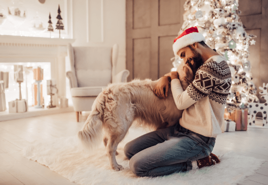 Top 6 Pet-Friendly Home Decors Every Dog Lover Can Do This Christmas