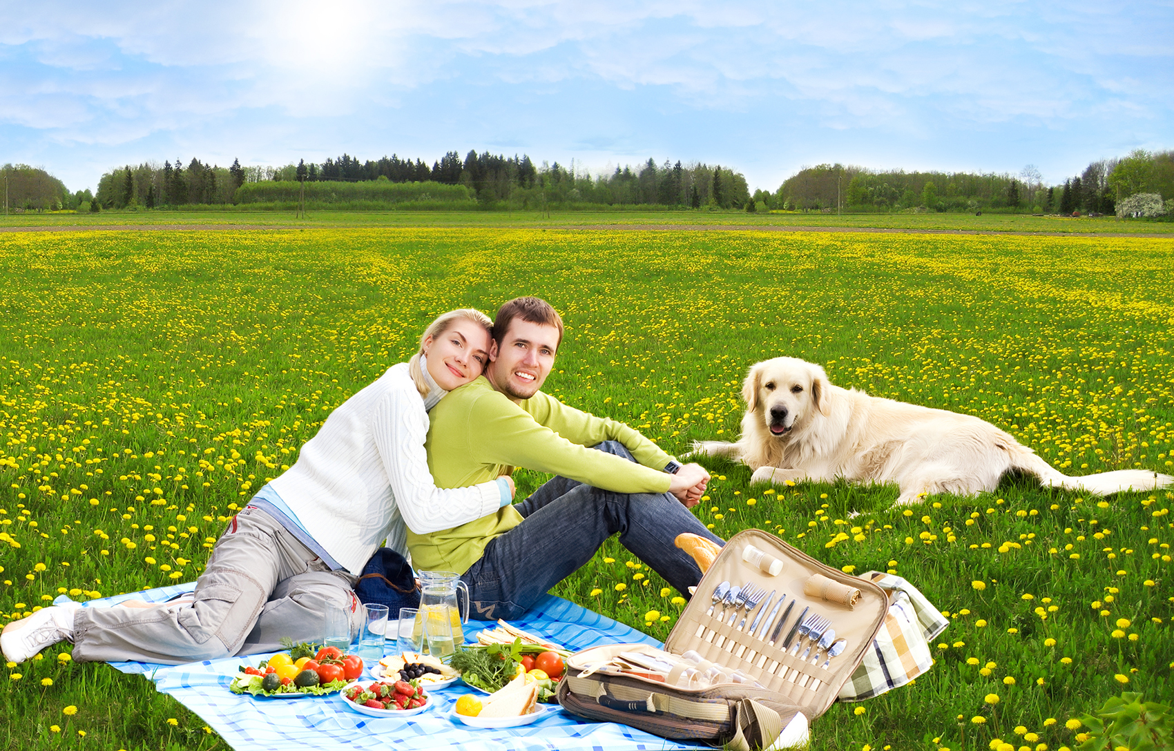 Take a picnic to a pet-friendly park