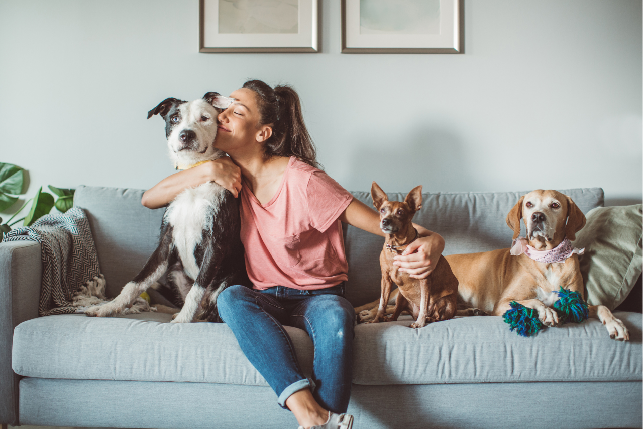 10 Benefits of Being a Dog Owner: Backed by Science