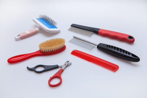 Dog grooming tools.