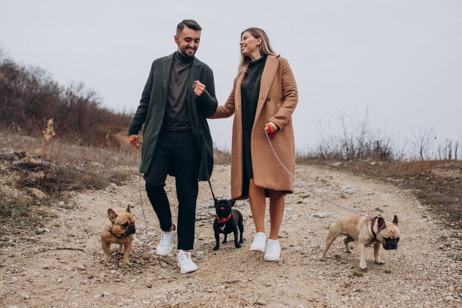 Young Couple Walking Their French bullldogs Park