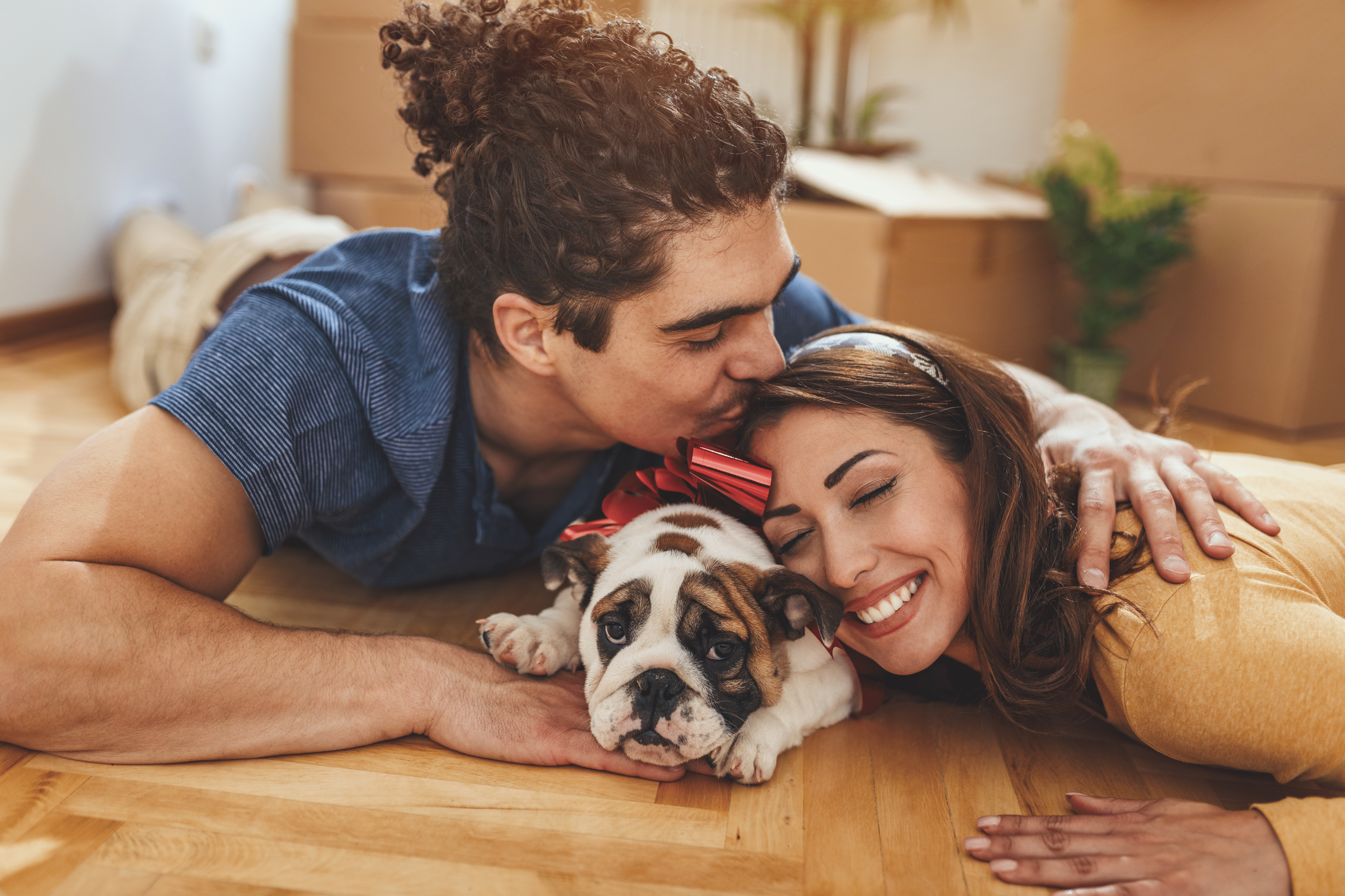 Essential Safety Tips for Dog Lover Couples