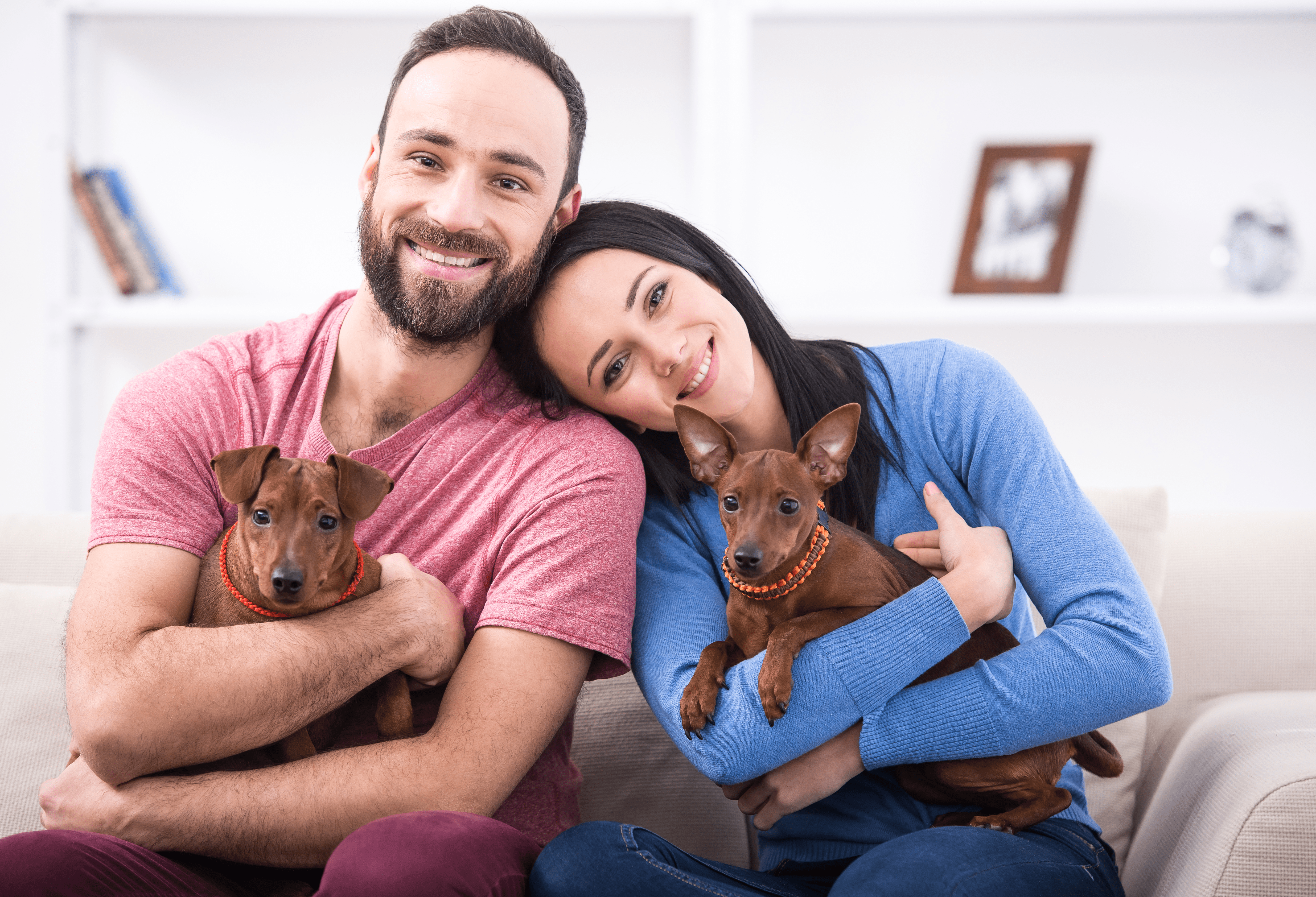 Love Unleashed: Why Dating a Dog Owner Is a Tail-Waggingly Good Idea