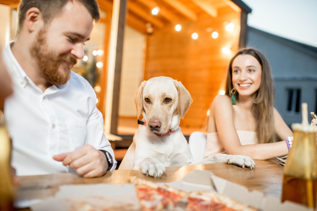 dating safety tips for dog enthusiasts