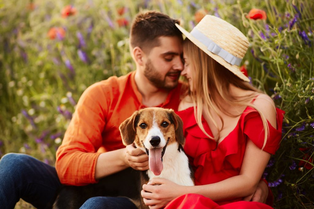 Dating tips for dog lovers during January