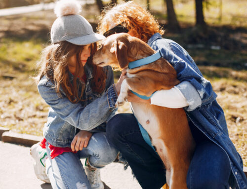 Mutual Interests: Why Dogs Make the Best Wingmen