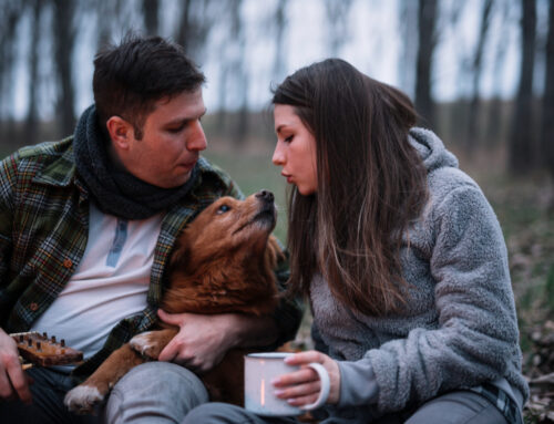 Love Me, Love My Dog: Guide to Dating a Die-Hard Dog Lover