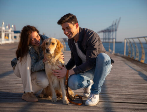 First Date Guide: 5 Essential Tips for Introducing Your Dog