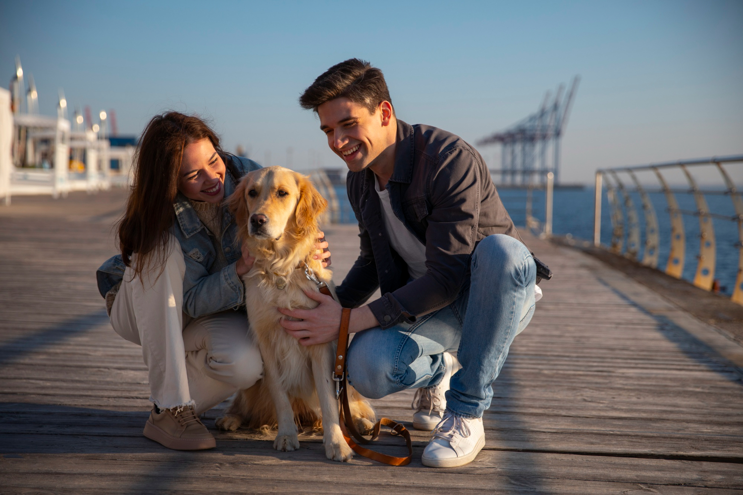 First Date Guide: 5 Essential Tips for Introducing Your Dog