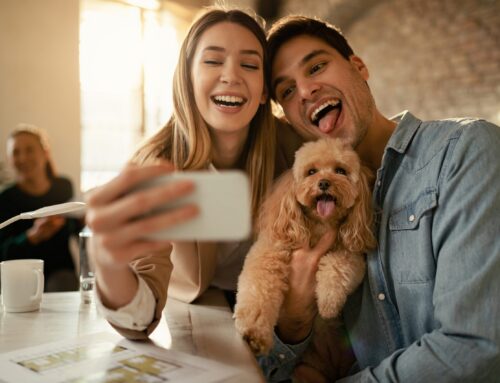 Dating App for Dog Owners – Find Love with Puppi Lovers